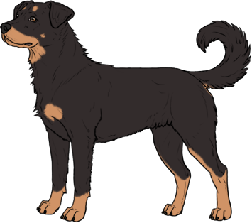 Random Dog
