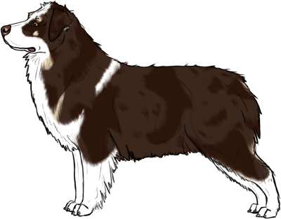 Random Dog
