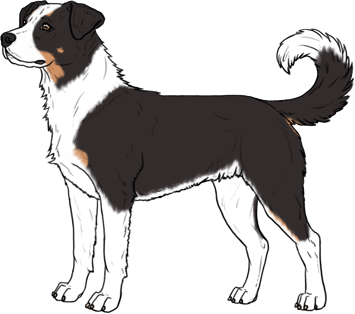 Random Dog