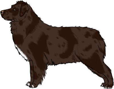 Random Dog