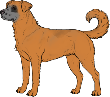 Random Dog