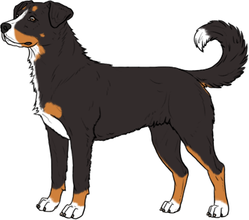 Random Dog