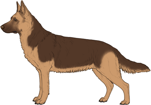 Random Dog