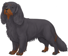 Random Dog