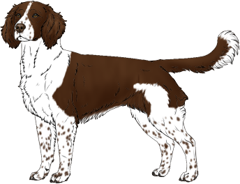 Random Dog