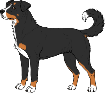 Random Dog