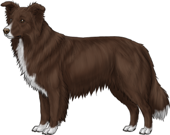 Random Dog