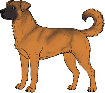 Random Dog