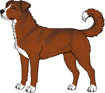 Random Dog