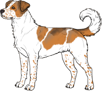 Random Dog