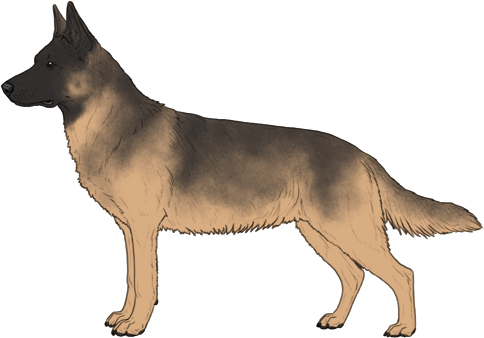 Random Dog