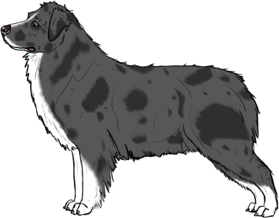 Random Dog