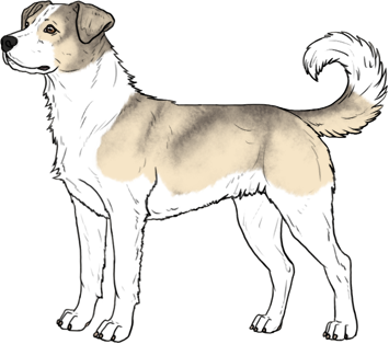 Random Dog