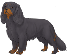 Random Dog