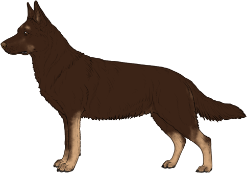 Random Dog