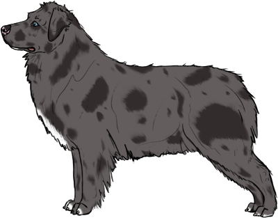Random Dog