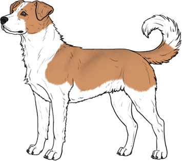 Random Dog