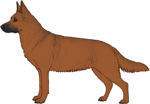 Random Dog