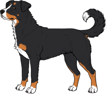 Random Dog