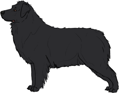 Random Dog