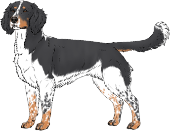 Random Dog