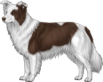 Random Dog
