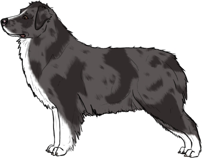Random Dog