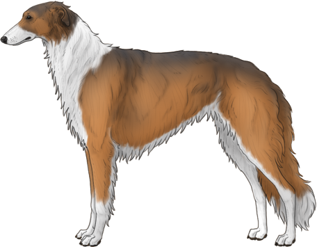Random Dog