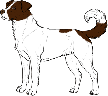 Random Dog