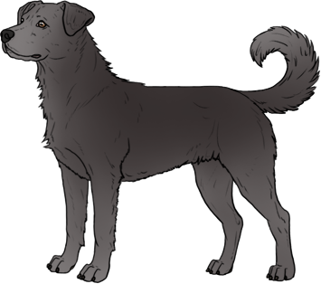 Random Dog