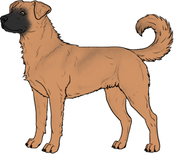 Random Dog