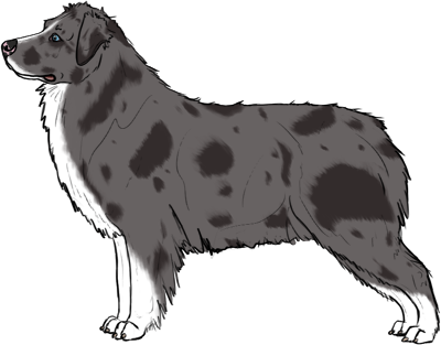 Random Dog